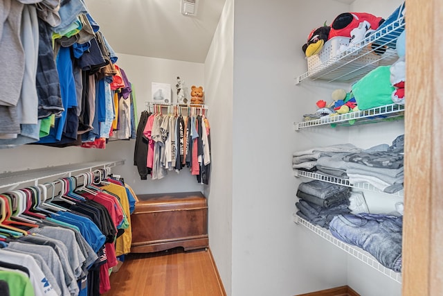 walk in closet with wood-type flooring