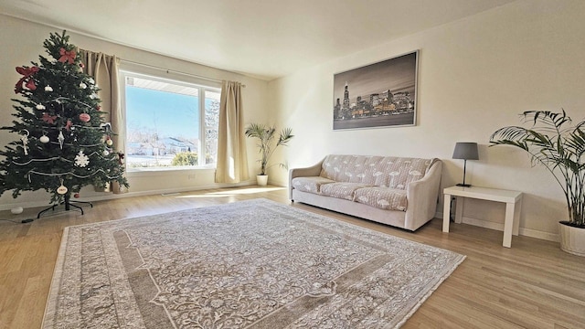 living room with wood-type flooring