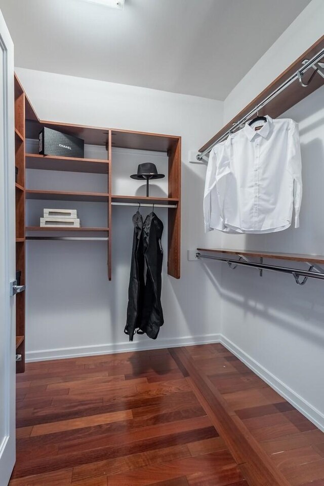 spacious closet featuring dark hardwood / wood-style floors