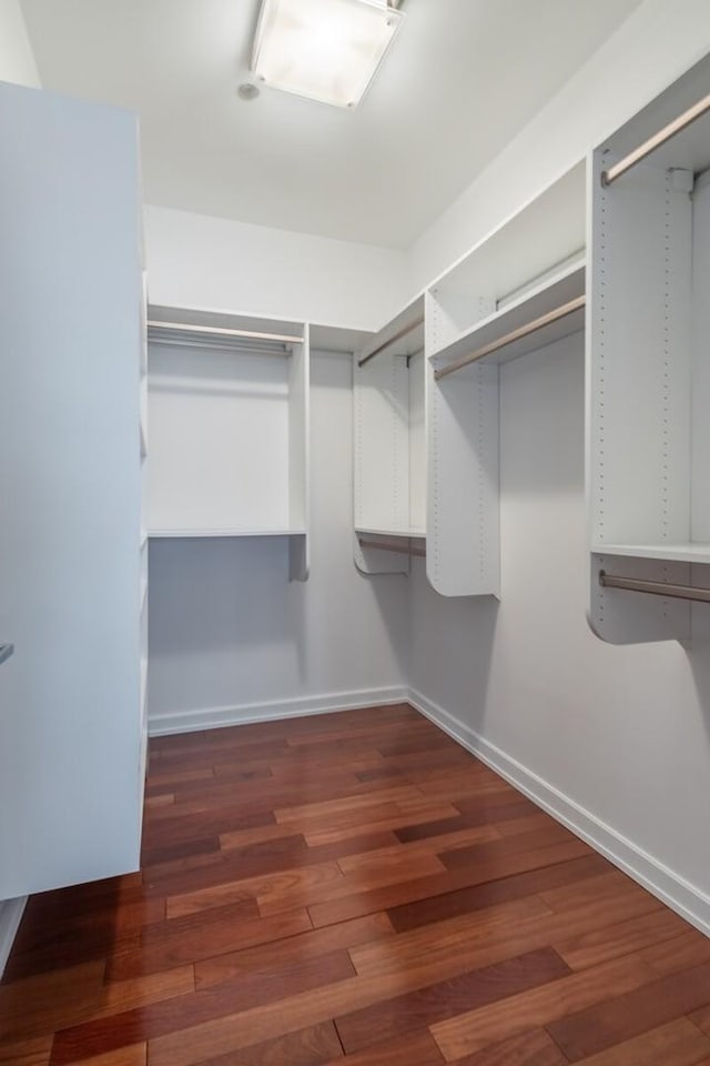 spacious closet featuring dark hardwood / wood-style flooring