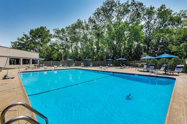 view of pool with a patio area