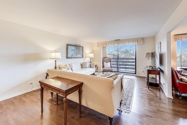 living room featuring hardwood / wood-style floors