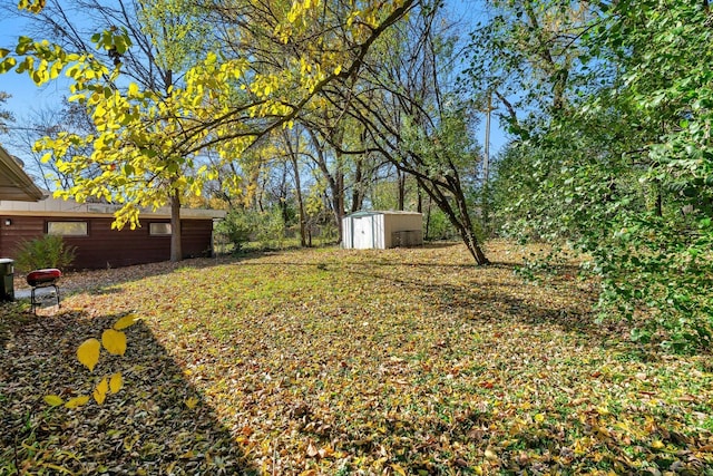 view of yard featuring a shed