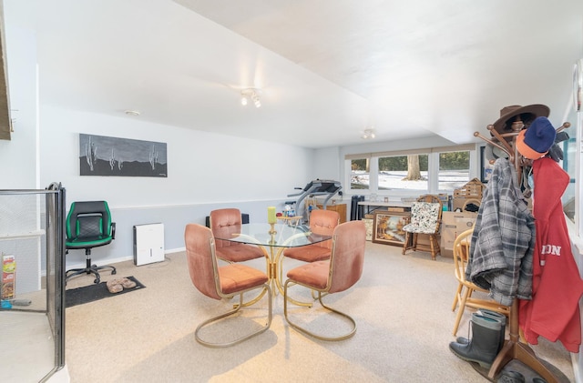 dining room with carpet