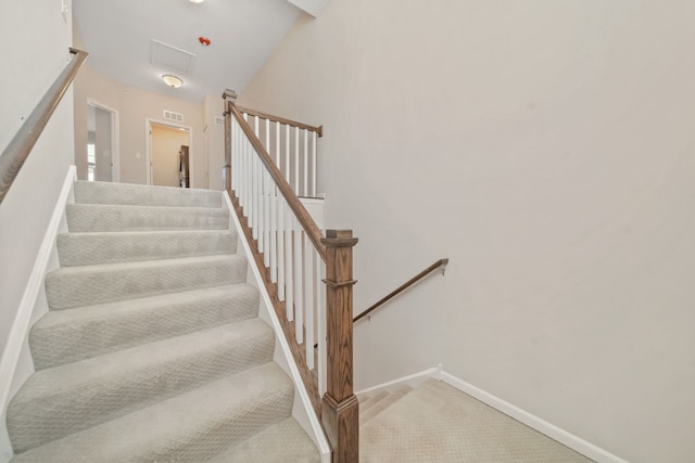 stairs featuring carpet floors