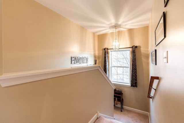 stairway with carpet floors