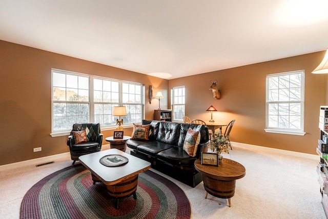 carpeted living room with plenty of natural light