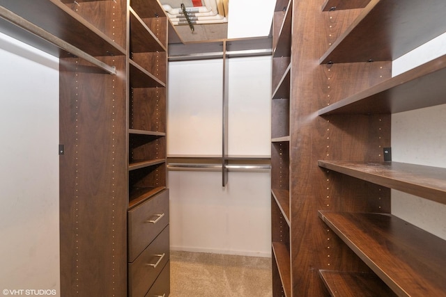 spacious closet featuring light carpet