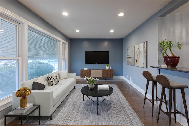 living room featuring dark hardwood / wood-style flooring