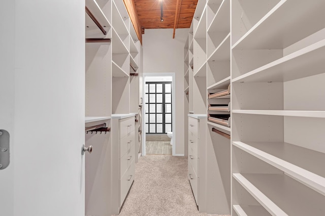 spacious closet featuring light colored carpet