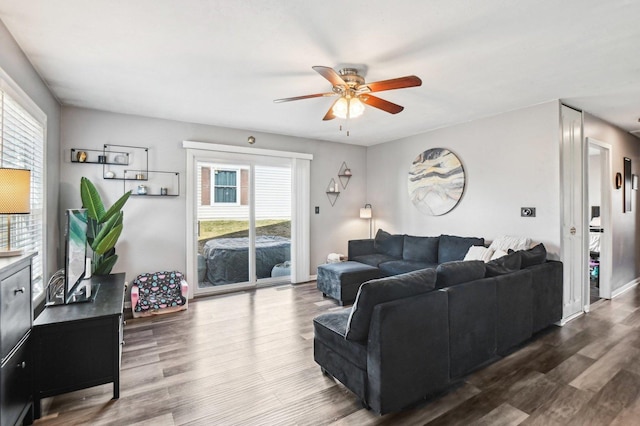 living room with ceiling fan and dark hardwood / wood-style flooring