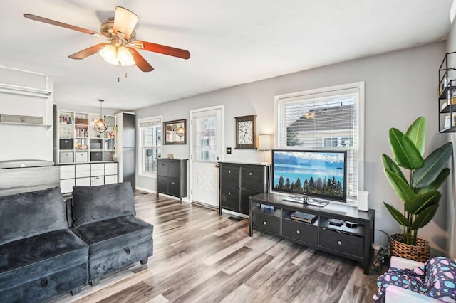 living room with ceiling fan, hardwood / wood-style floors, and plenty of natural light