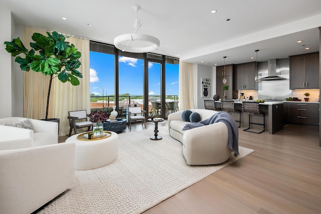 living room with light hardwood / wood-style floors and expansive windows