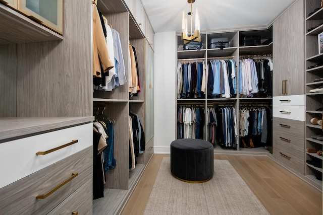 walk in closet featuring light hardwood / wood-style flooring