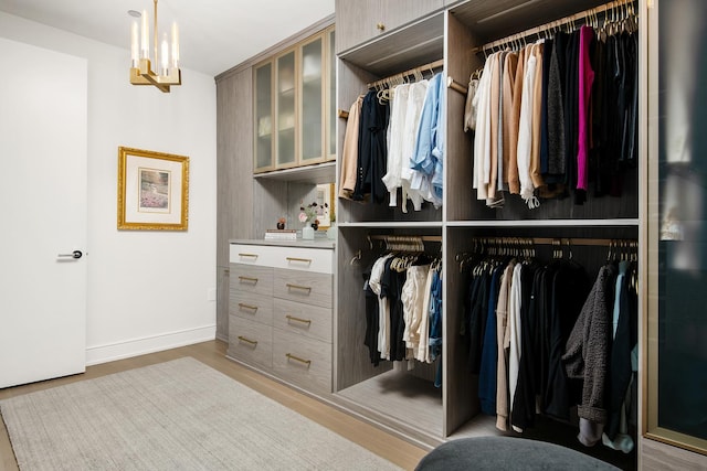 view of closet