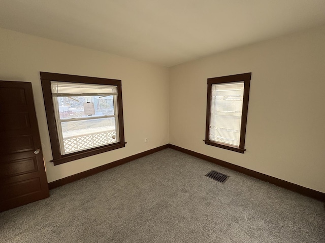 carpeted spare room with a wealth of natural light