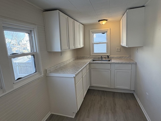 kitchen with white cabinetry, dark hardwood / wood-style flooring, and sink