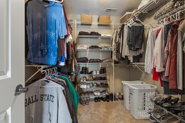 spacious closet with carpet floors