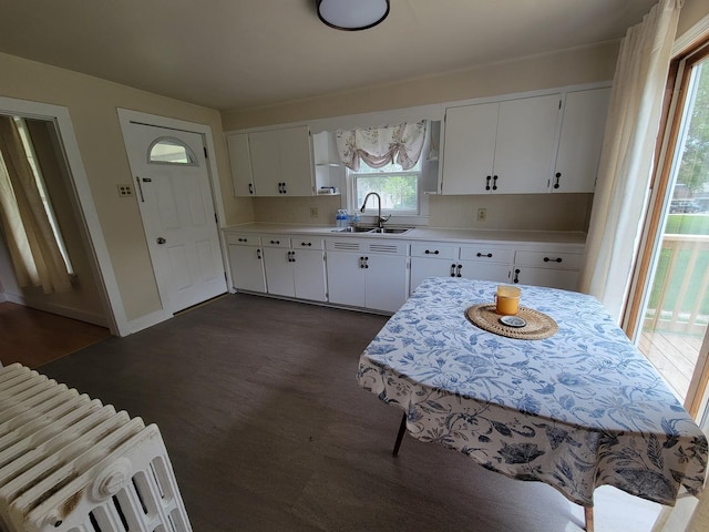 407 E Walnut St, Oglesby, IL 61348 - kitchen featuring a sink, light countertops, white cabinets, baseboards, and dark wood-style flooring