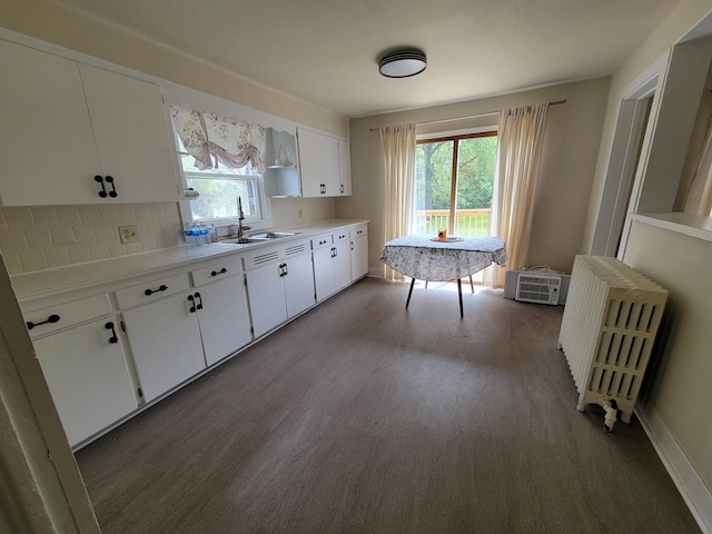 407 E Walnut St, Oglesby, IL 61348 - kitchen featuring a sink, radiator heating unit, plenty of natural light, and wood finished floors