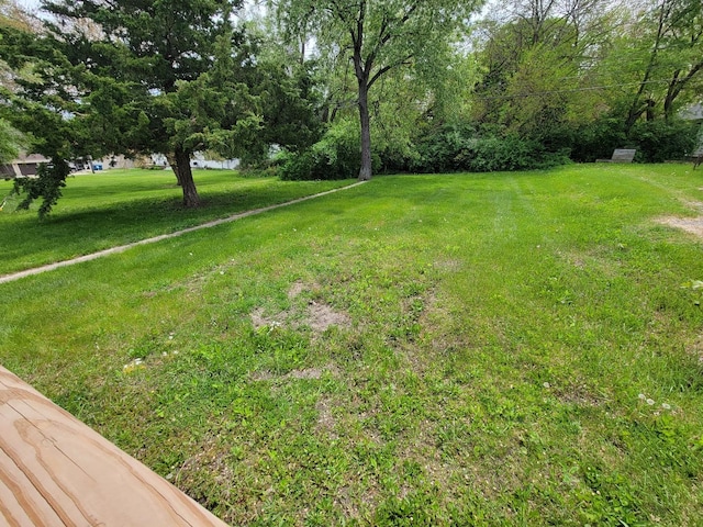 407 E Walnut St, Oglesby, IL 61348 - view of green lawn