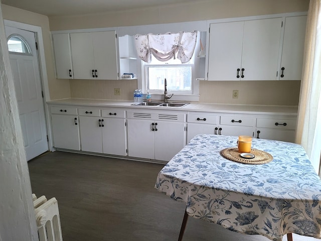 407 E Walnut St, Oglesby, IL 61348 - kitchen with a sink, open shelves, light countertops, white cabinets, and dark wood-style floors