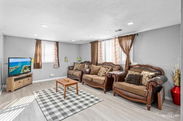 living room with a textured ceiling, plenty of natural light, and light hardwood / wood-style flooring