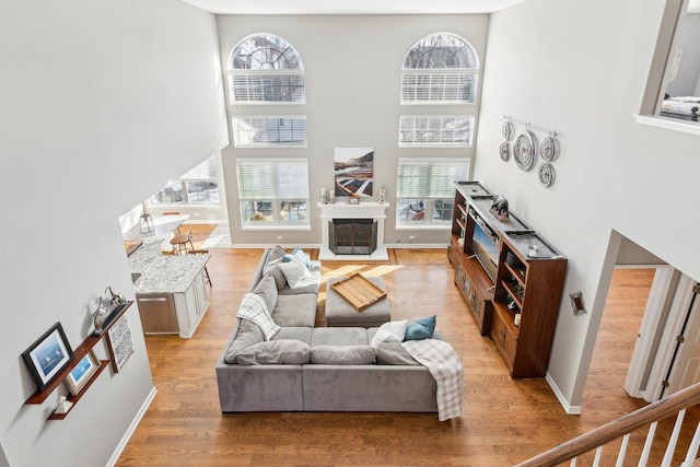 living room featuring hardwood / wood-style floors and a high ceiling