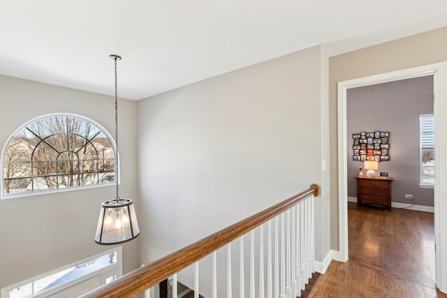 corridor with dark hardwood / wood-style flooring and a healthy amount of sunlight