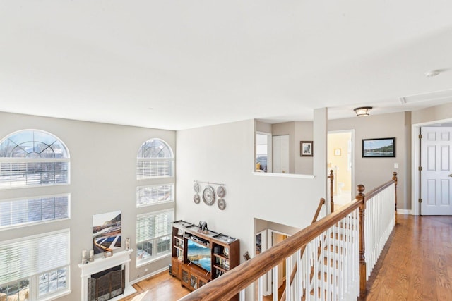 corridor featuring hardwood / wood-style floors