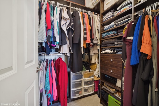 walk in closet featuring carpet floors