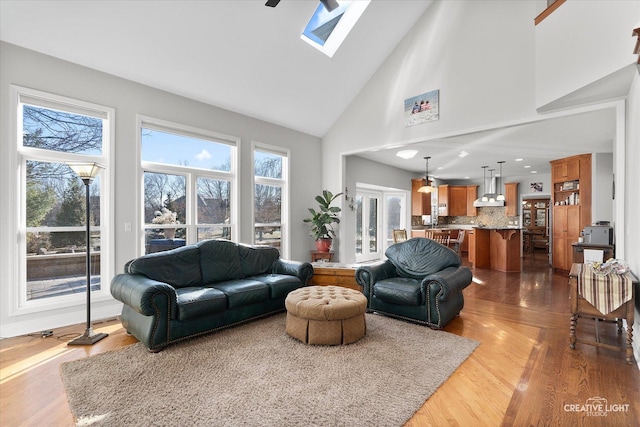 living room featuring high vaulted ceiling, a skylight, and wood-type flooring