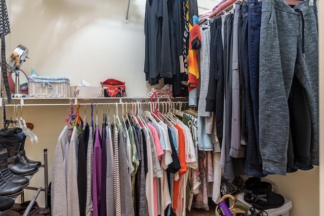 view of walk in closet