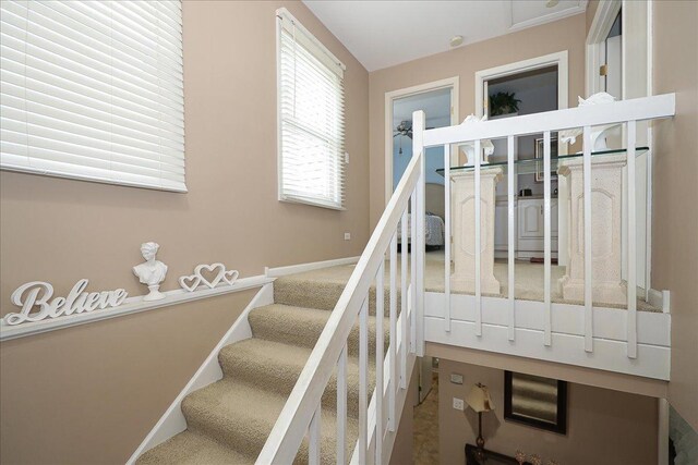 234 Stanyon Ln, Bloomingdale, IL 60108 - photo 4