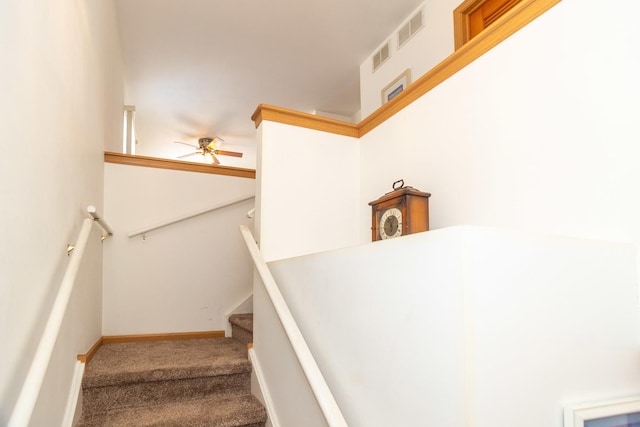 stairs featuring ceiling fan and carpet