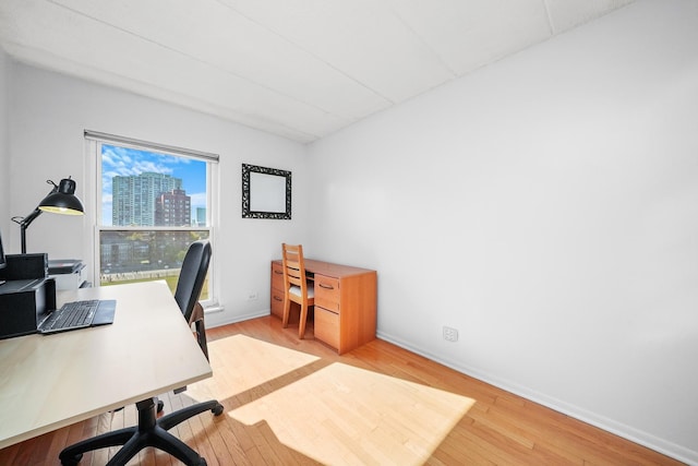 office area with light hardwood / wood-style flooring