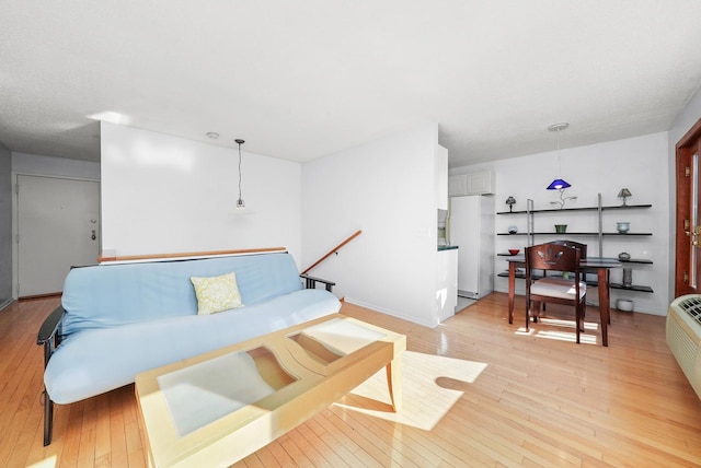 living room with light wood-type flooring