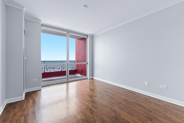 spare room featuring ornamental molding, dark hardwood / wood-style flooring, and expansive windows