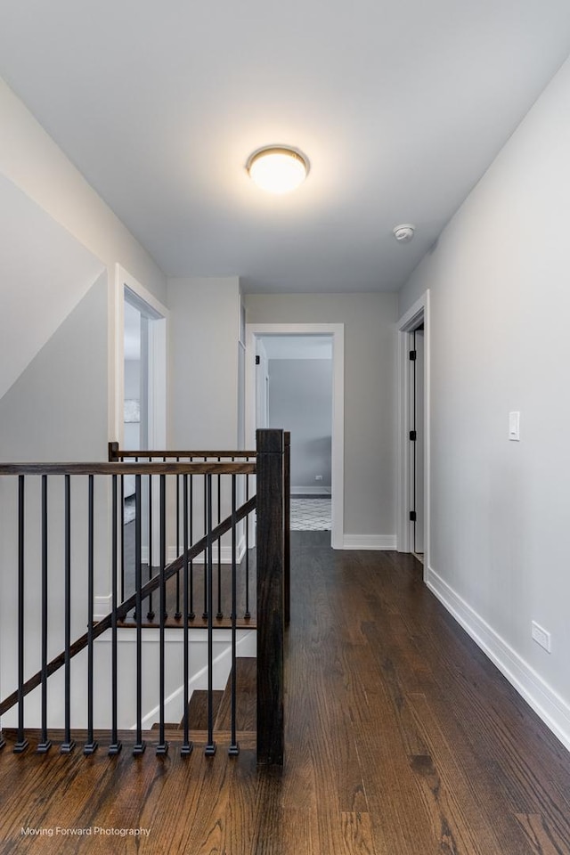 hallway featuring dark wood-type flooring