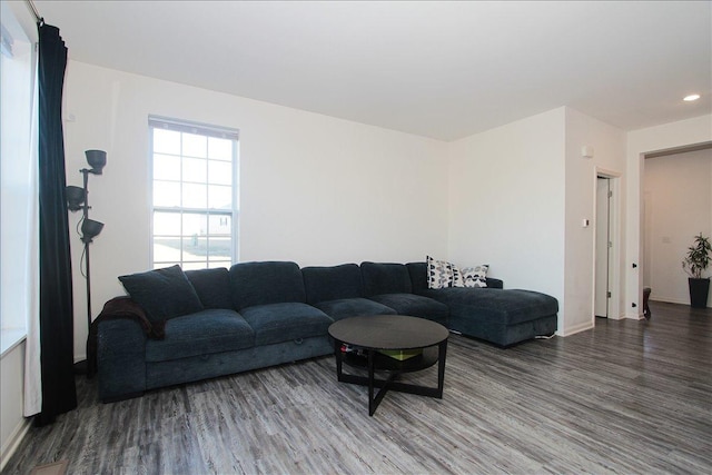 living room with wood-type flooring