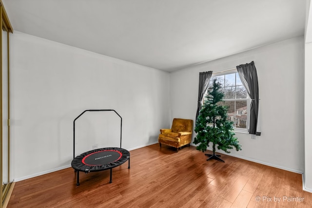 living area with hardwood / wood-style flooring