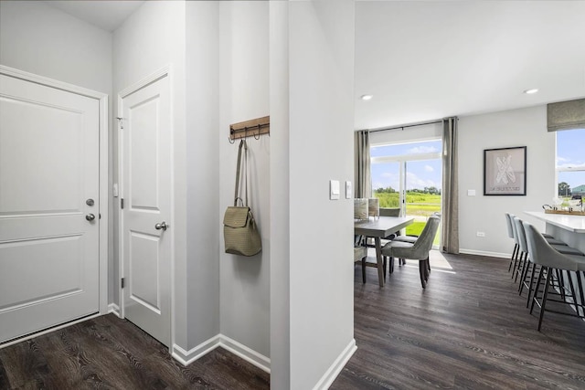 foyer entrance featuring dark hardwood / wood-style flooring