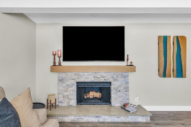 details with hardwood / wood-style flooring and a stone fireplace