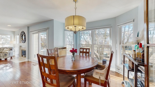 dining space with wood-type flooring