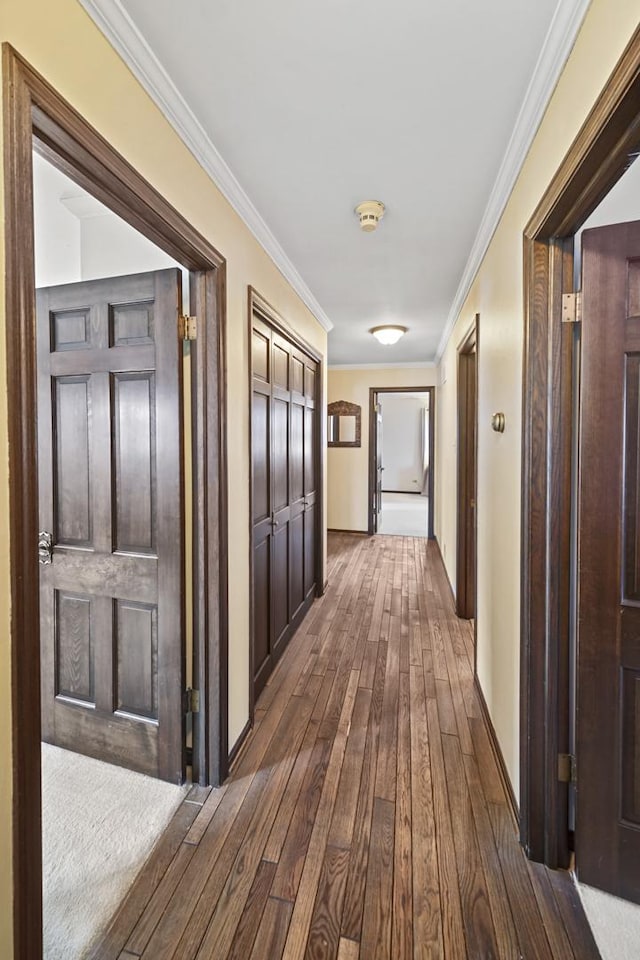 hall with crown molding and dark hardwood / wood-style flooring