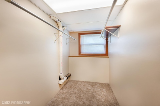 spacious closet with light colored carpet