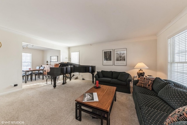 carpeted living room with crown molding and plenty of natural light