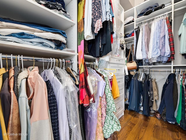 walk in closet with dark hardwood / wood-style flooring