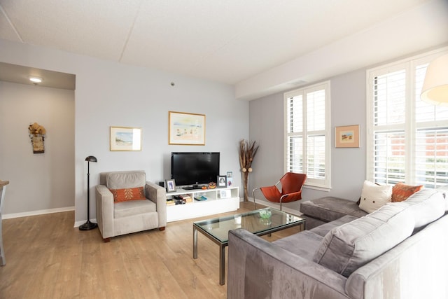 living room featuring light wood-type flooring