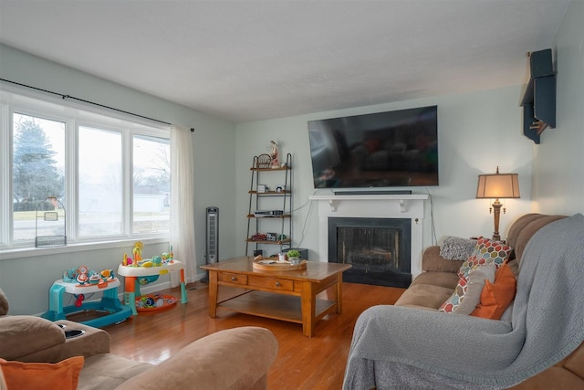 living room featuring hardwood / wood-style floors